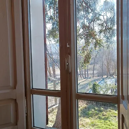 Antico Momosa Maxi *