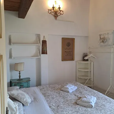 Antico Momosa Maxi *