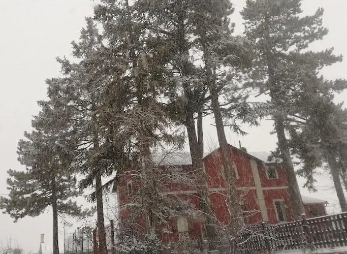 Antico Momosa Maxi *