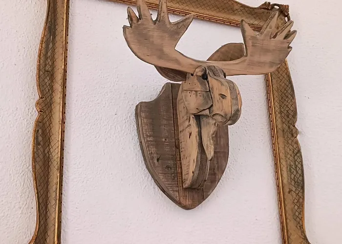 Antico Momosa Maxi *